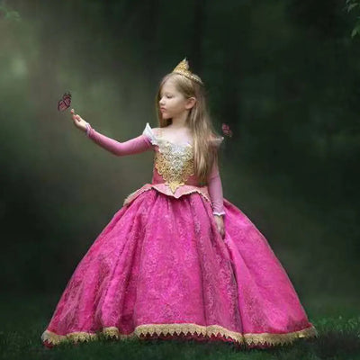 Princess Arora Lace Dress Backdrop Bliss