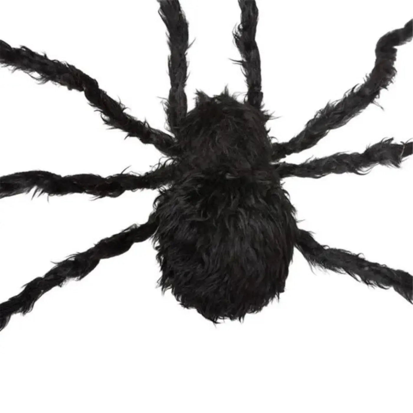 Halloween Decoration Backdrop Bliss