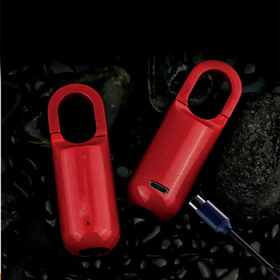 Smart USB Rechargeable Fingerprint Code Lock Easy To Carry Backpack Fingerprint Lock For Gym School Locker House Door Travel Luggage Backpack - Backdrop BlissSmart USB Rechargeable Fingerprint Code Lock Easy To Carry Backpack Fingerprint Lock For Gym School Locker House Door Travel Luggage Backpack